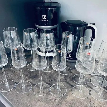 Studiohuoneisto Vallikadun Helmi, 56 M2, Ac,wifi,parveke Lejlighed Lappeenranta